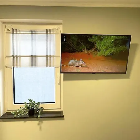 Apartament Davidoff-apartment *