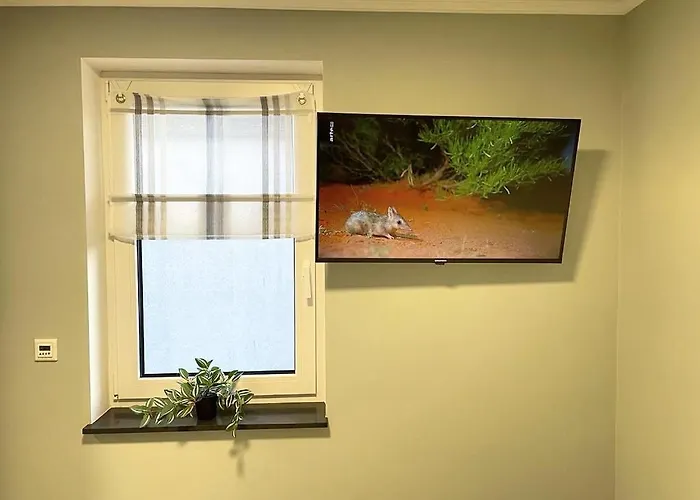 公寓 Davidoff-apartment *